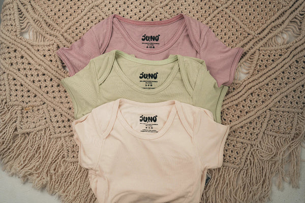 The Everyday Set